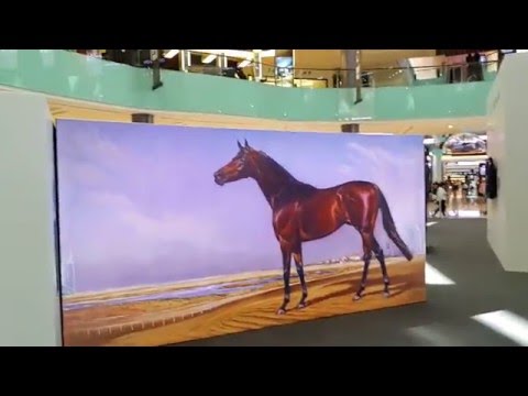Godolphin Arabian Horse Dubai Mall 13.3.2015