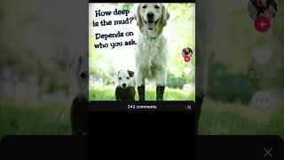 I don't get it. | Funny TikTok Comments