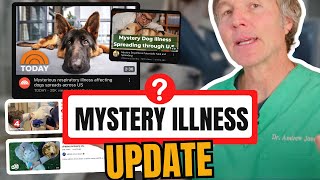 Mystery Dog Respiratory Illness: 2024 Update