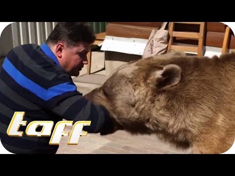 Dangerous pet - life-threatening at the kitchen table? | taff | ProSieben