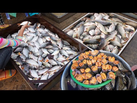 Amazing Fish Market Morning Scenes Prek Phnov, Cambodian Street Food 2021