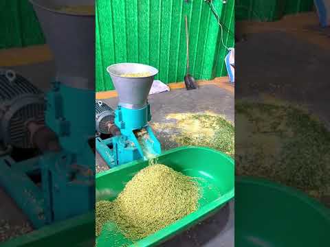 Molino de pellets de alimentación para pollo, pato, conejo, cerdo, ganado