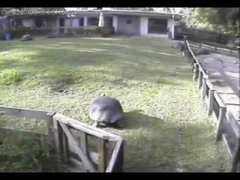 YouTube Video BYGUkeF8uuQ