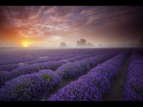 Madalina Amon - Secunda