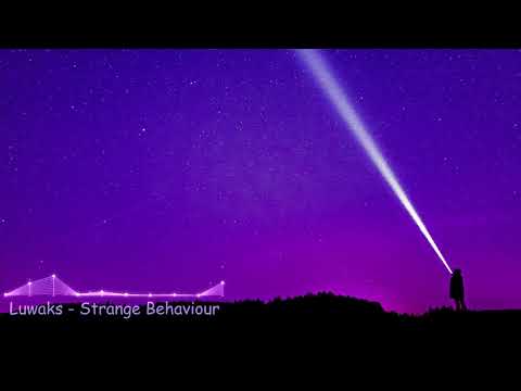 Luwaks - Strange Behaviour