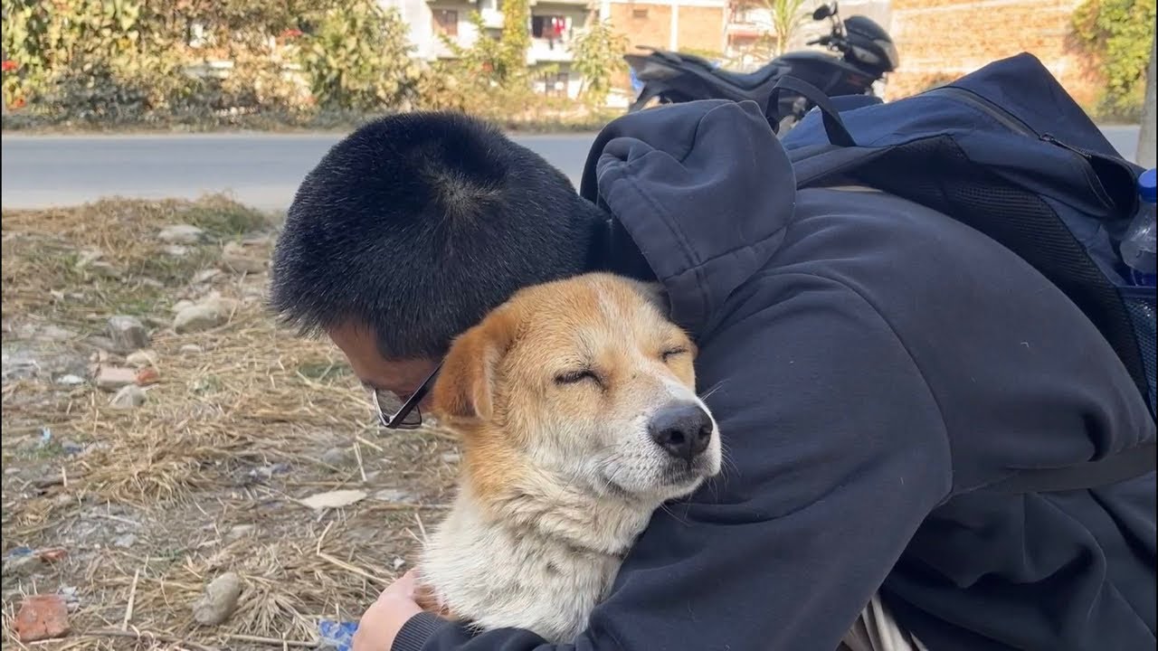 4/1(水)ネパール野良犬支援ライブ✨20時〜