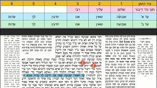 דף יומי מסכת שבועות דף לב Daf yomi Masechet Shevuot page 32  ע"י יוני גוטמן (שיעורי הדף היומי ב-20 דקות – מועבר ע"י ר' יוני גוטמן – לעילוי נשמת אביו ר' אלימלך צבי (צביקה) גוטמן ז"ל) - התמונה מוצגת ישירות מתוך אתר האינטרנט יוטיוב. זכויות היוצרים בתמונה שייכות ליוצרה. קישור קרדיט למקור התוכן נמצא בתוך דף הסרטון