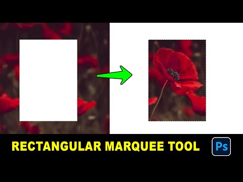 Rectangular Marquee Selection Tool Photoshop