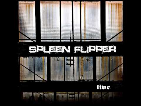 SPLEEN FLIPPER - Qualcosa Scompare - Live@Das Riff -Hamburg (DE)