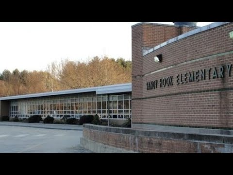 Who is Alex Jones and what happened at Sandy Hook elementary- SOC102