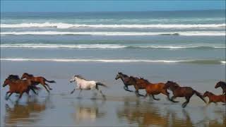 The Doobie Brothers &quot;slack key soquel rag&quot; 1975