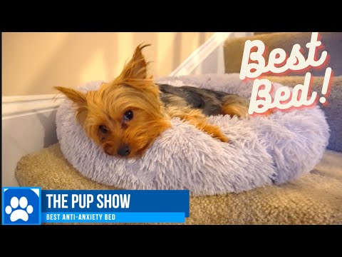 gorilla dog beds coupon code