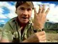 The Crocodile Hunter