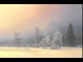 П.И. Чайковский "Сентиментальный вальс" - Tchaikovsky "Valse ...