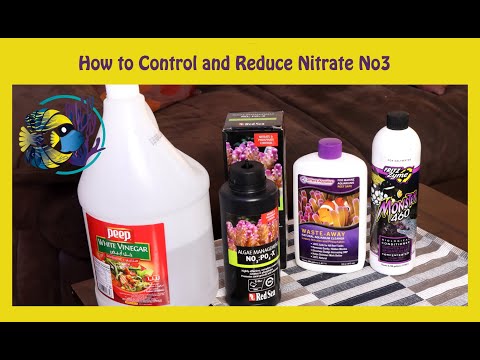 How to Control and Reduce Nitrate NO3 in Marine Aquariums