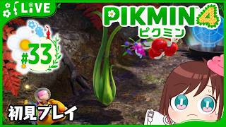 いくか、ラスダン…。【ピクミン4初見プレイ】 #おはようvtuber  #33