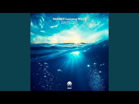 Don't Let Go (Chris Domingo & Miss T Remix)