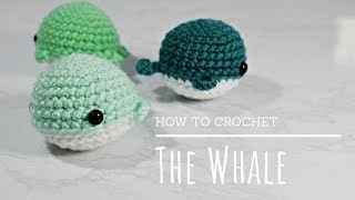 How To Crochet - Easy Beginners Amigurumi Whale Tutorial