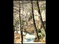 Rush - Tai Shan