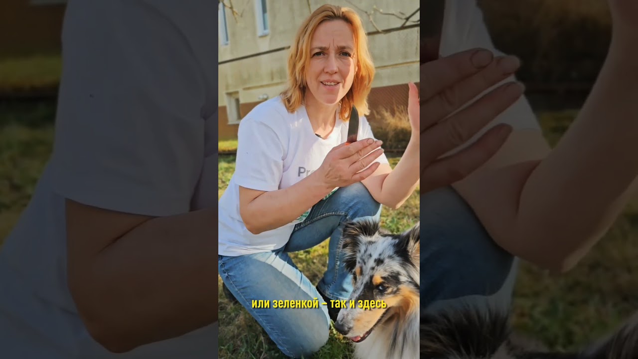 Дерево может погибнуть, если не залечите раны на стволе! Спасаем сад от рака