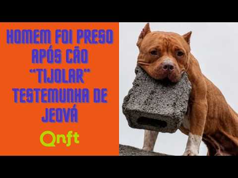 Prefeita se revela espiã: As manchetes mais engraçadas do dia!