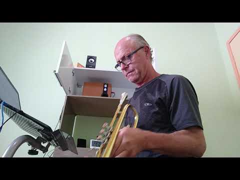 Roberto Przybylski - Blood,Sweat & Tears,  Go Down Gamblin'