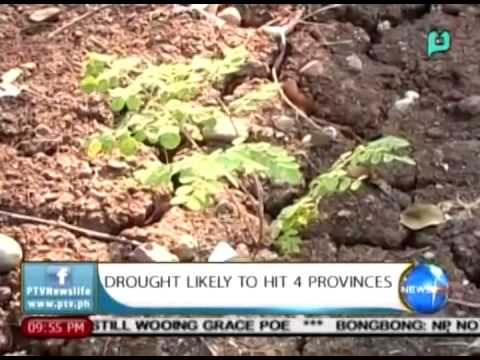 NewsLife: Drought likely to hit 4 provinces || Sept. 8, 2015