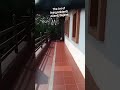 Art Of Living Anklavdi Anand Gujarat Living Nature Shorts Short Shortvideo Farming Viral Travel