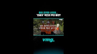 출입 금지된 산인데…‘인생샷’ 찍으러 등반?/ 비디오머그 #shorts