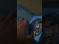 Toy Story Blu Ray Overview
