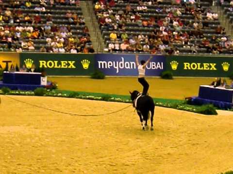 101008 WEG2010_techtest_toth