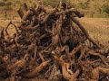 Kwasukasukela Promo Video