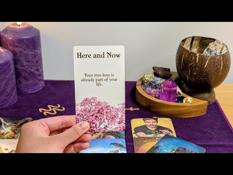 LEO "Your intuition is absolutely correct about this person!" Tarot Love Reading 