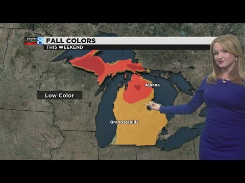 Storm Team 8 Forecast: 6 p.m. 101316