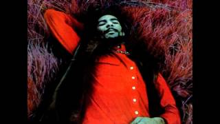 Richie Havens - Cautiously (1969)