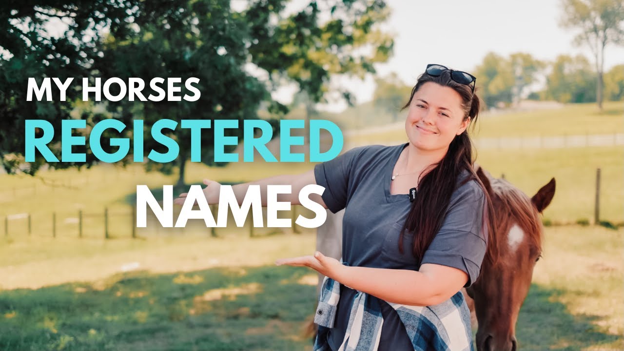 What’s the best horse name? More REF