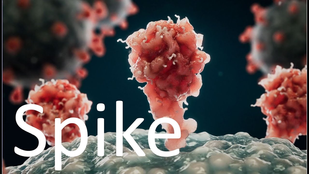 Body cell destruction