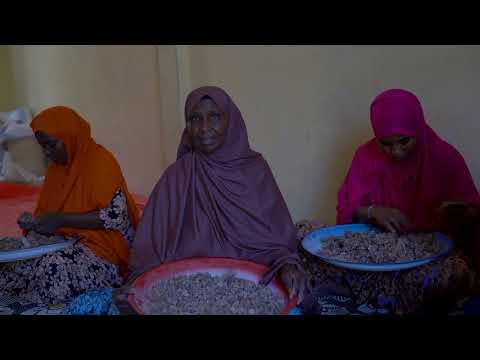 Help Keep Somali Frankincense Forests Alive