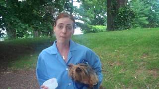 How to obtain a urine sample from your dog