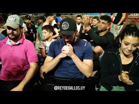 CDV F5: DEI G v MABEL v SLOW - 8vs