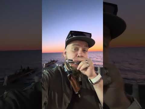 Sunset Blues by Boris Plotnikov - JDR Assassin Pro G