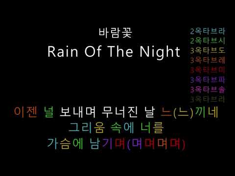 바람꽃 - Rain Of The Night (음정체크)