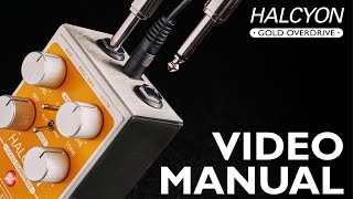Video thumbnail for Halcyon Gold Overdrive || Video Manual by Origin Effects