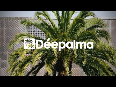 Meines & Yves Murasca - Me Calma [Déepalma Records]