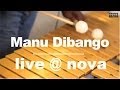 Manu Dibango • Live @ Nova