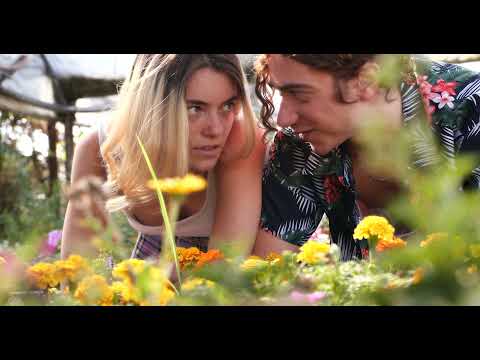 LOWCHANO - SOLO AMICI