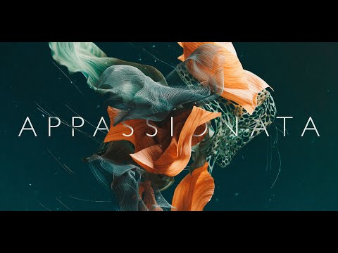 Luke Olney – Going Home Again (Appassionata Strings Demo)