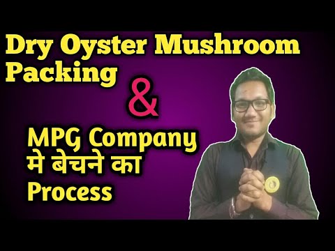 download lagu mp3 mp4 Oyster Mushroom Buyers, download lagu Oyster Mushroom Buyers gratis, unduh video klip Oyster Mushroom Buyers