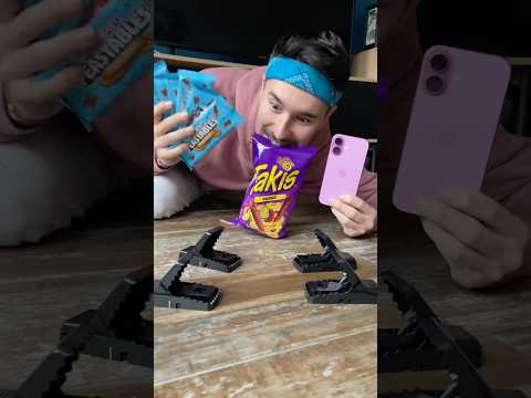 This is the Strongest Mouse Trap in the World