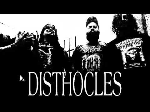 DISTHOCLES - "euforia / pastillas & rock and roll" adelanto 2020